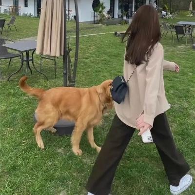 我的富爸爸